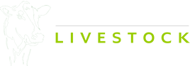 Dairy Livestock for sale in Northern Ireland - Moffett Livestock