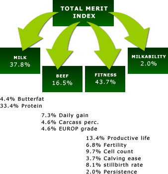 Fleckvieh Total Merit Index